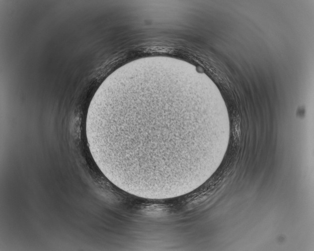 X0000116770551201001141453