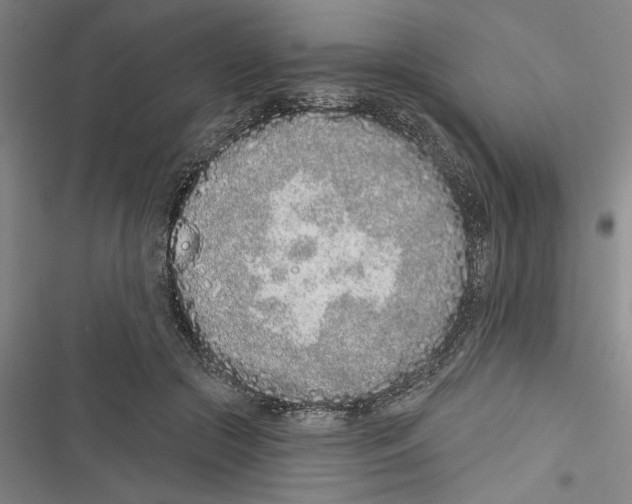X0000116770553201001141453