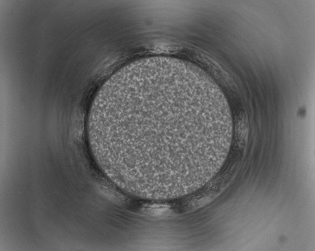 X0000116770554201001141453