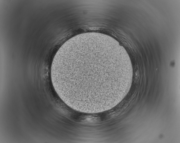X0000116770555201001141453