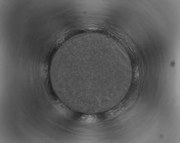 X0000116770559201001141453