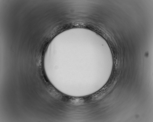 X0000116770561201001141453