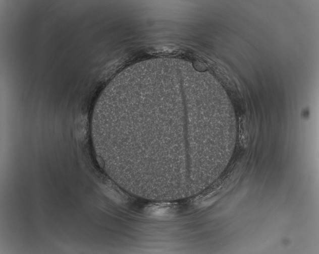 X0000116770563201001141453