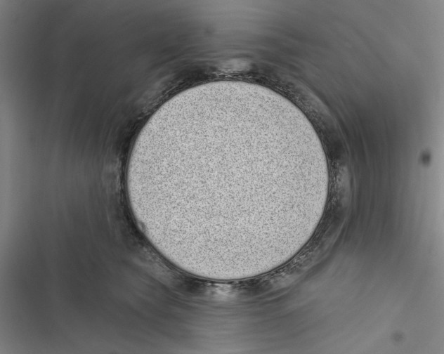 X0000116770565201001141453
