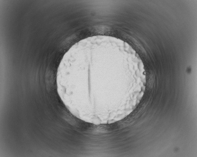 X0000116770569201001141453