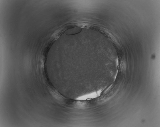 X0000116770570201001141453