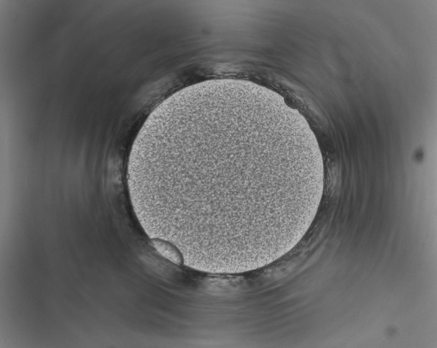 X0000116770571201001141453