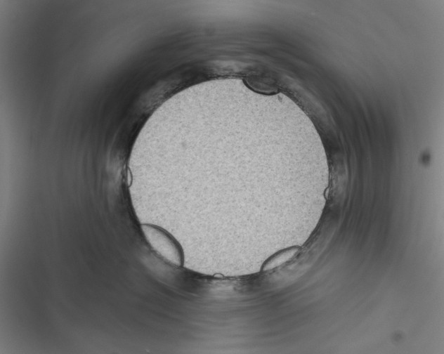 X0000116770574201001141453