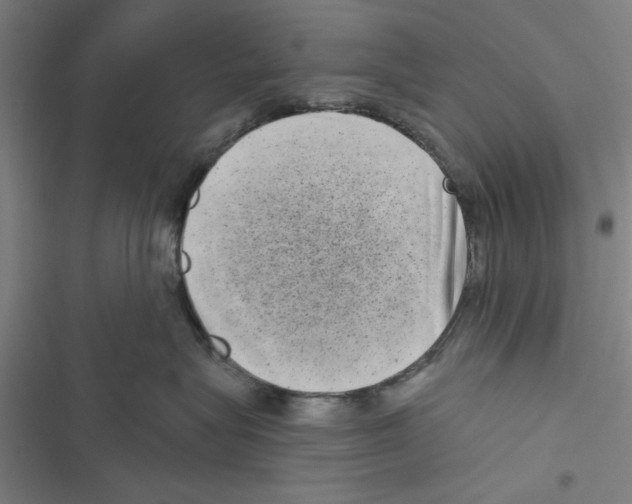 X0000116770575201001141453