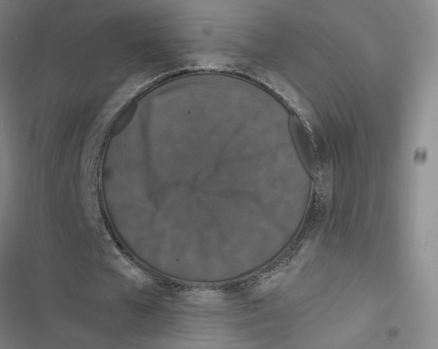 X0000116770577201001141452