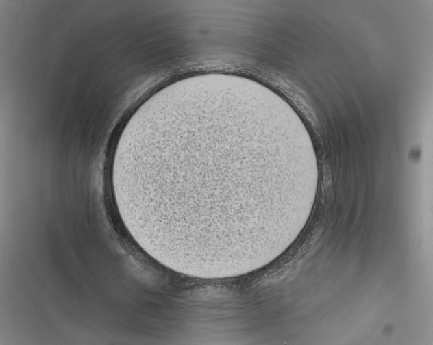 X0000116770578201001141452