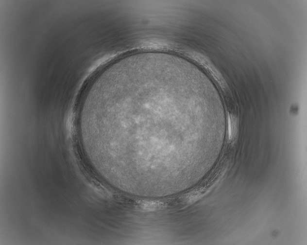 X0000116770579201001141452