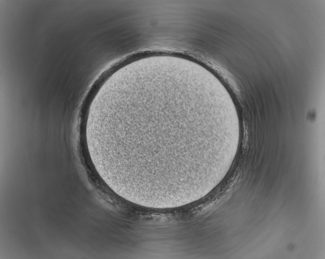 X0000116770580201001141452