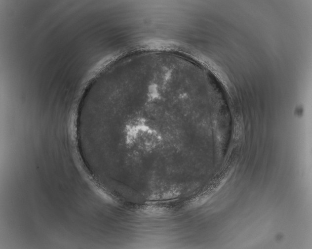 X0000116770581201001141452