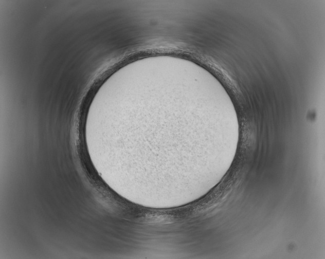 X0000116770582201001141452