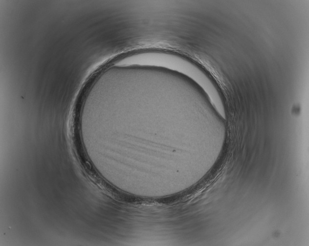 X0000116770583201001141452