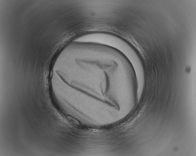 X0000116770585201001141452