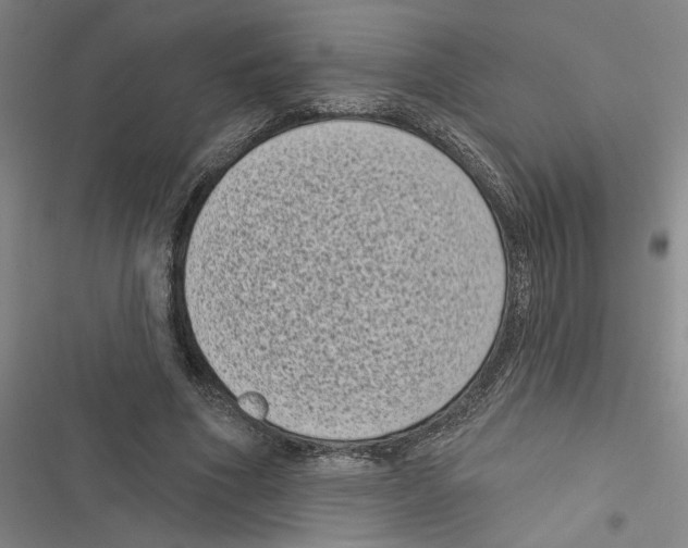 X0000116770586201001141452