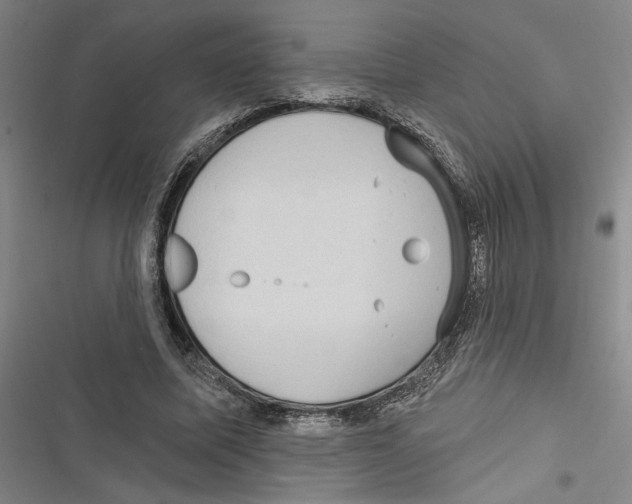 X0000116770587201001141452