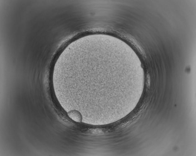 X0000116770588201001141452