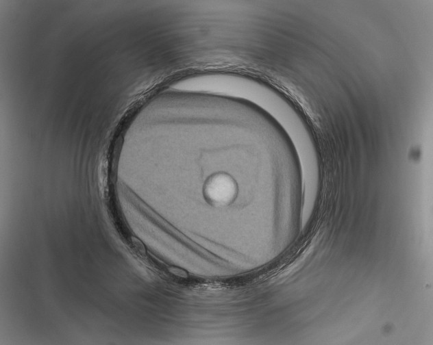 X0000116770589201001141452