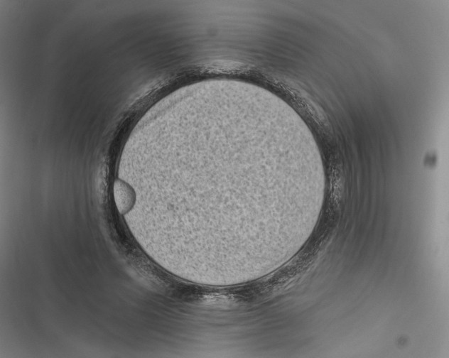 X0000116770591201001141452
