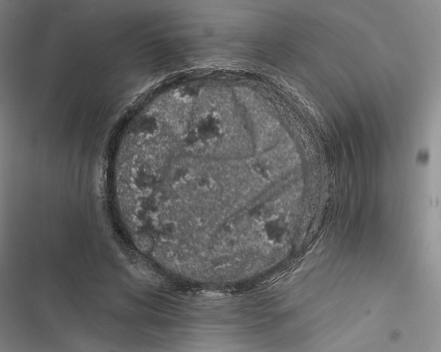 X0000116770592201001141452