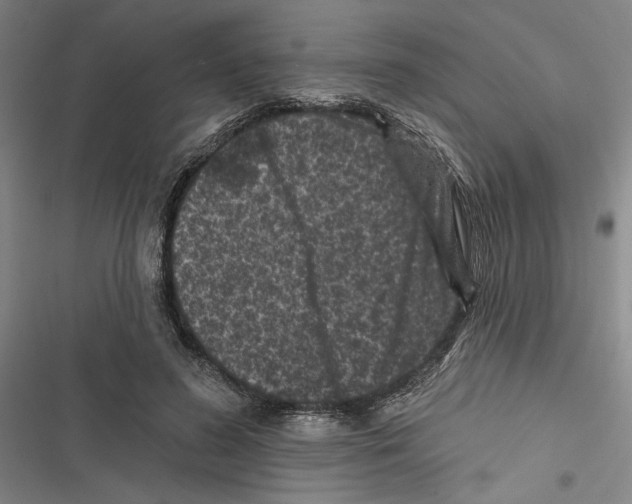 X0000116770596201001141452
