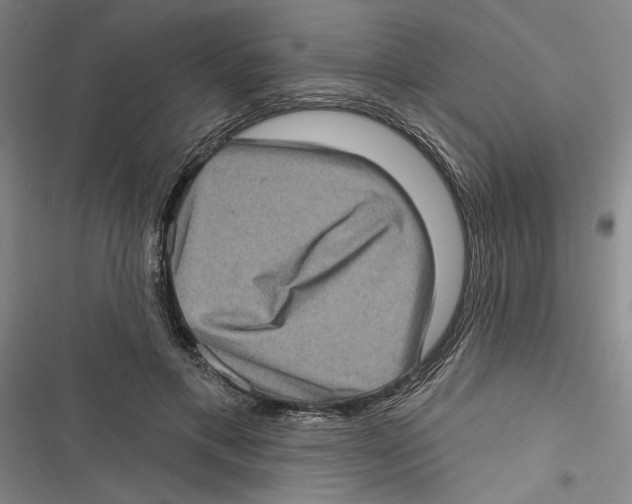 X0000116770597201001141452