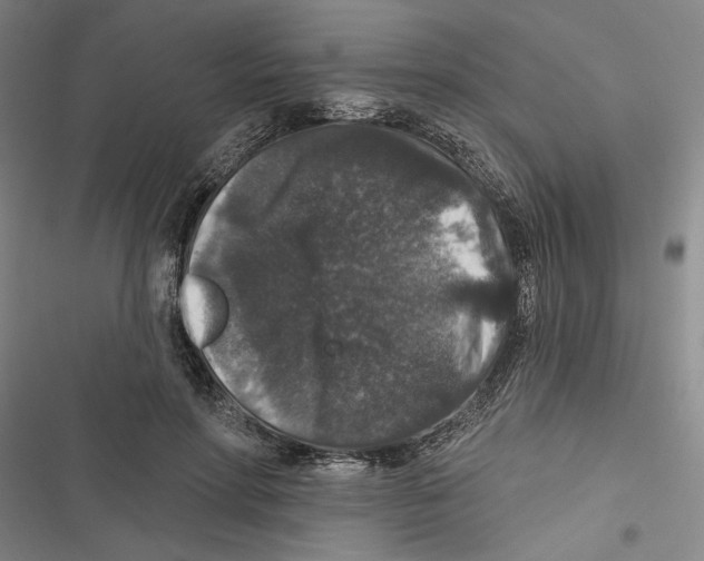 X0000116770598201001141452