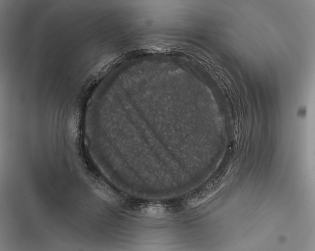 X0000116770600201001141452