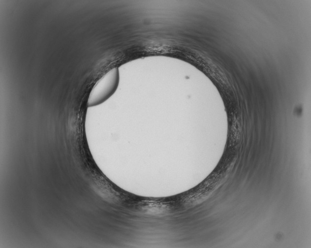 X0000116770601201001141452