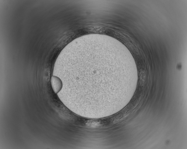 X0000116770602201001141452