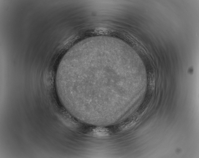 X0000116770603201001141452