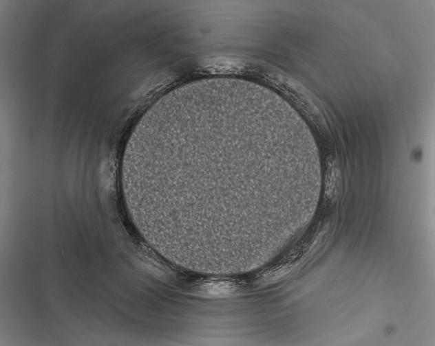 X0000116770604201001141452