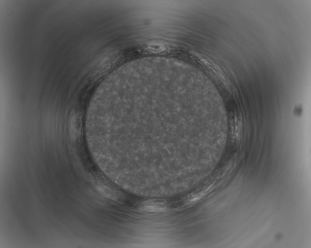 X0000116770606201001141452