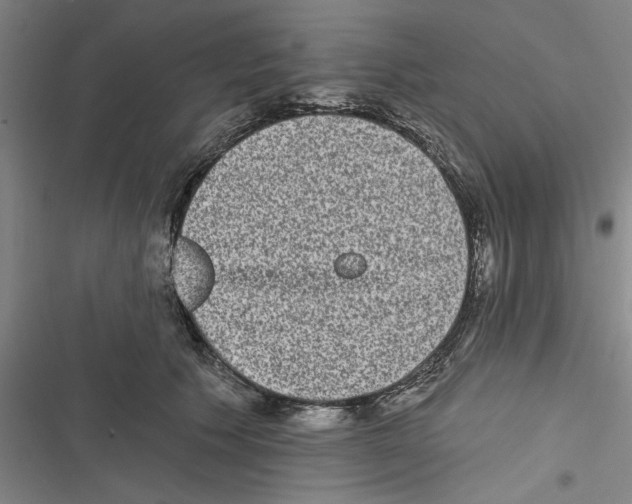 X0000116770609201001141452