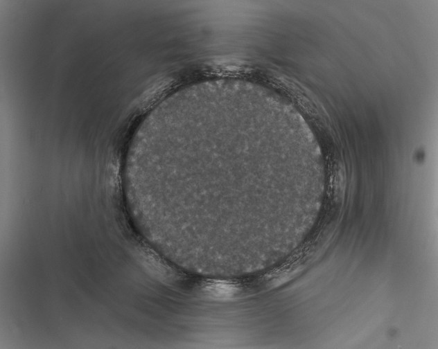 X0000116770610201001141452