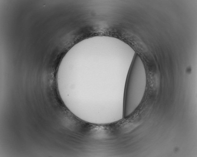 X0000116770611201001141452