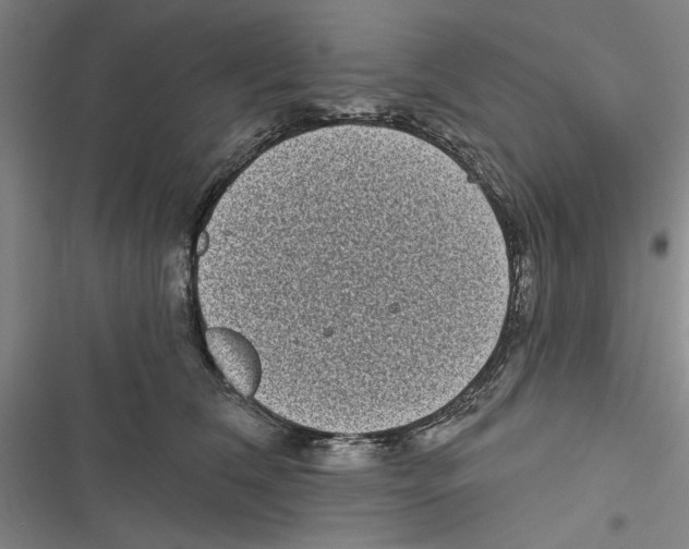 X0000116770612201001141452