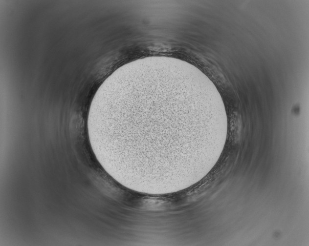 X0000116770614201001141452