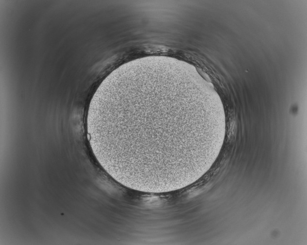X0000116770616201001141452