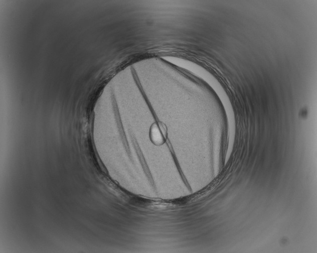 X0000116770617201001141452