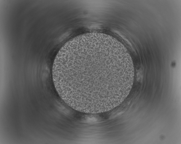 X0000116770618201001141452
