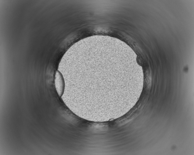 X0000116770619201001141452