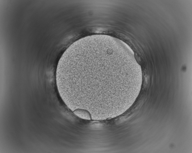 X0000116770620201001141452