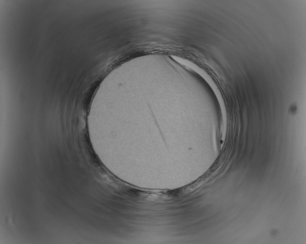 X0000116770621201001141452