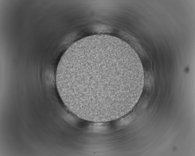 X0000116770622201001141452