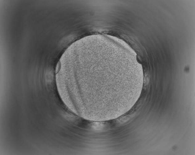 X0000116770623201001141452