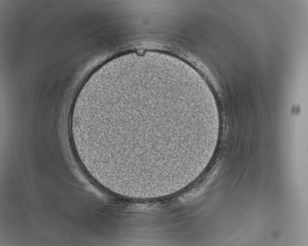 X0000116770625201001141451
